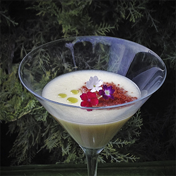 Crema de melon Fotografía Gastronómica creama de melon