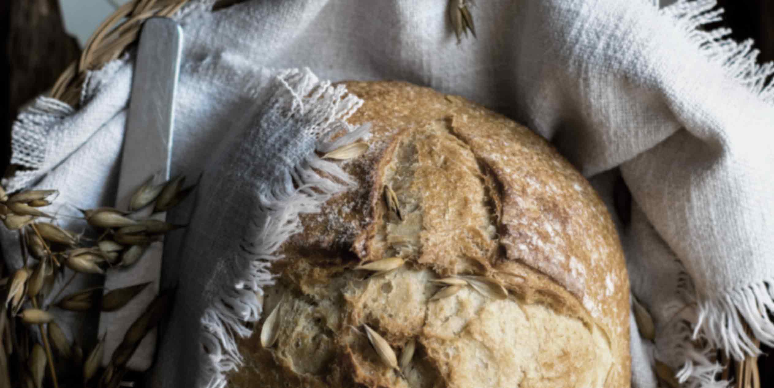 Masa madre: Nueva ley de regulación del pan - Repagas